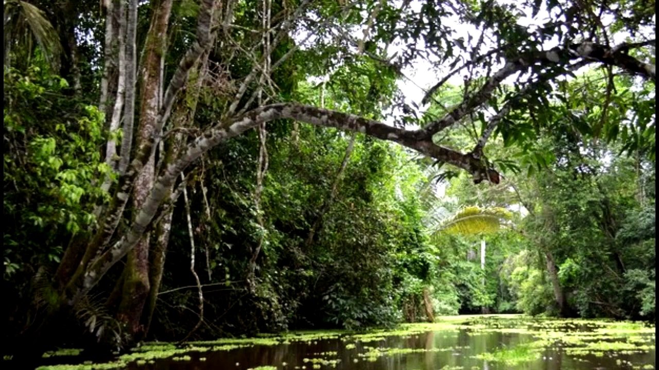CRUZEIRO DO SUL AC, BANDEIRA, SÍMBOLOS, FOTOS, HINO COMPLETO, LETRA E MÚSICA