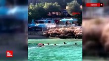 Mersin'de deniz ortasında sopalı kavga kamerada