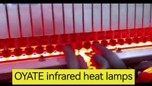 300mm 400v 2000w Quartz Infrared Heater Ruby IR Heating Lamp for Bottle Blowing Machine