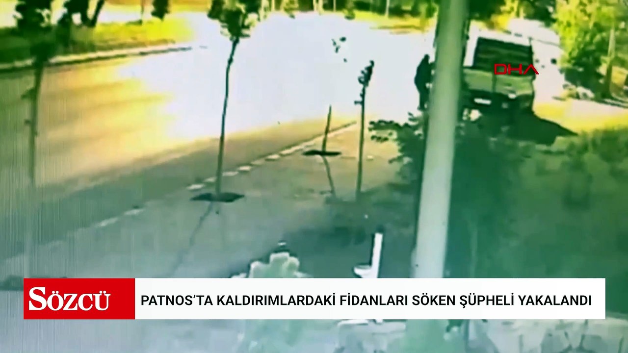 Patnos’ta kaldırımlardaki fidanları söken şüpheli yakalandı