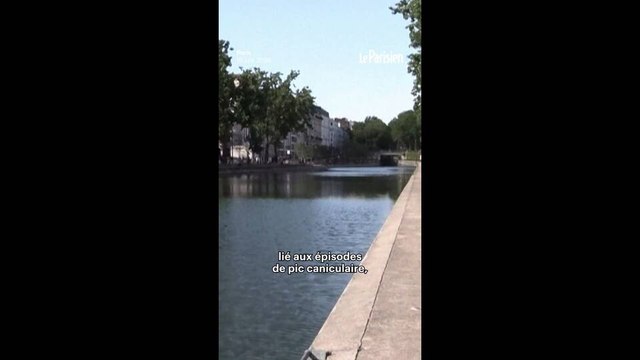 Paris : la baignade au canal Saint-Martin ouverte dès ce mercredi