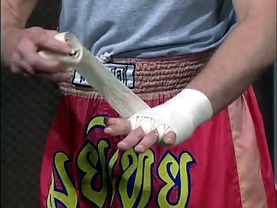 Mike Parkers Muay Thai for MMA Vol1 Boxing Basics