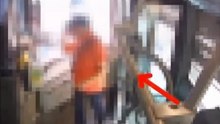 "Aggressione su Autobus a Bologna: Diffusi i Video per Identificare l'Attaccante Sessantenne"