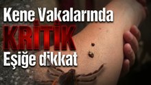 Kene Tutunmasının Ardından 10 Gün Alarmı