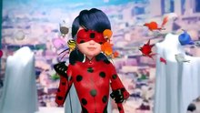 Lady bug cartoons