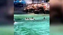 Yok böyle kavga! Denizin ortasında sopalı dehşet kamerada