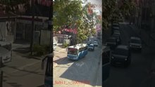 Bir Adım Daha Geç Kalsa Ağacın Altında Kalacaktı!
