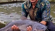 Lele Sangkuriang