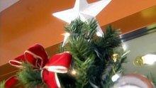 Manatsu no Merry Christmas 08