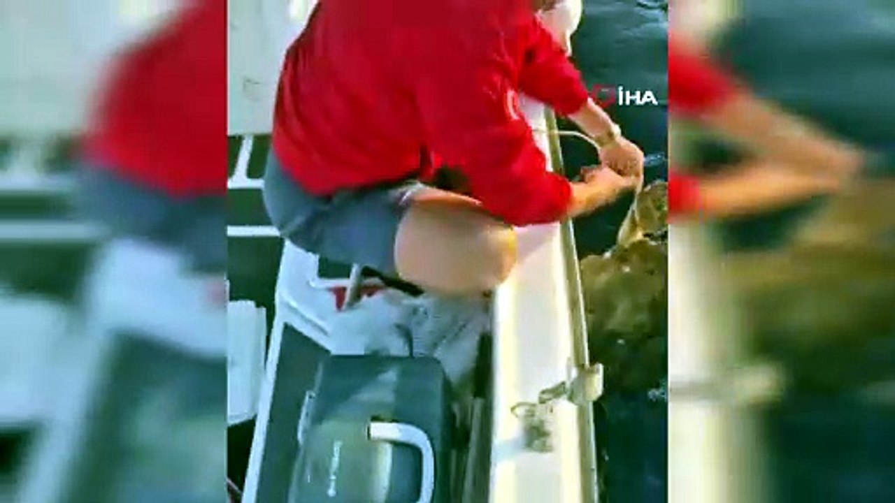 Kuşadası'nda ayağına kaldırım taşı bağlanan Caretta Caretta'yı balıkçılar kurtardı