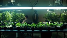 AKILLA'S ESCAPE (2021) Trailer VO - HD [Full Movie]