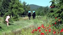 Türkiye'nin Maldivleri'nde atlı jandarma timleri sahaya indi