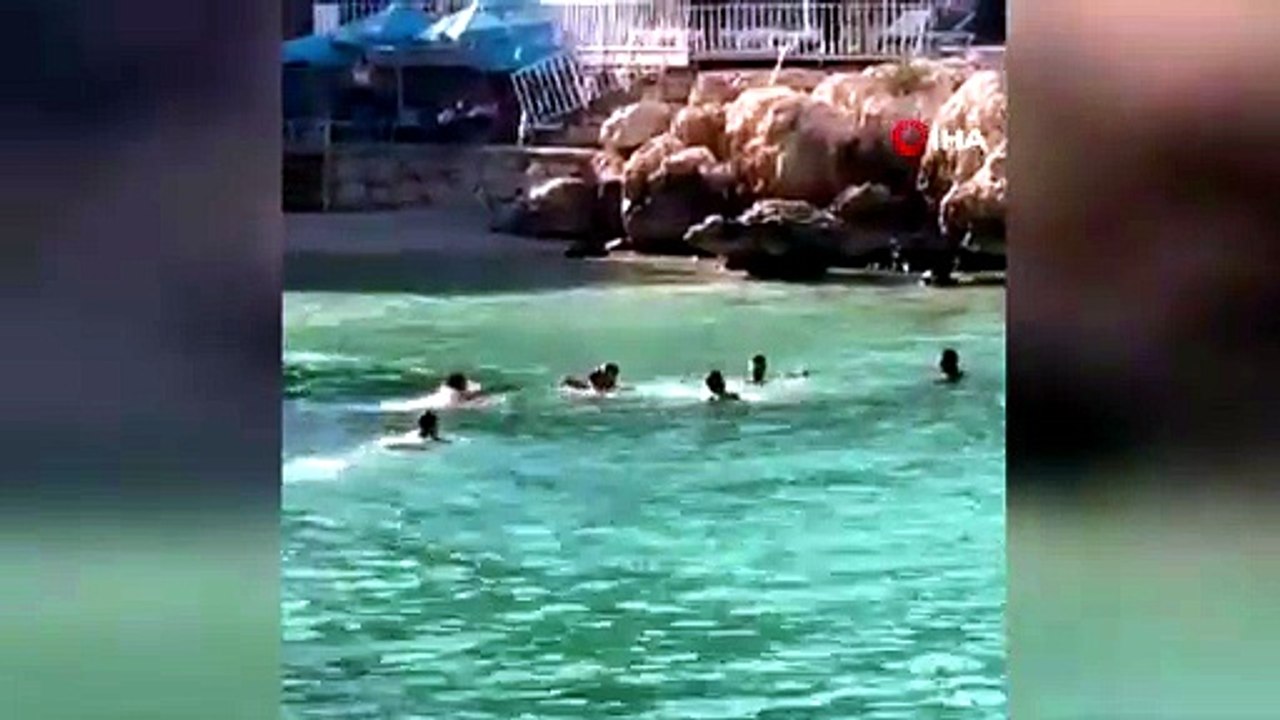 Denizin ortasında sopalı kavga kamerada