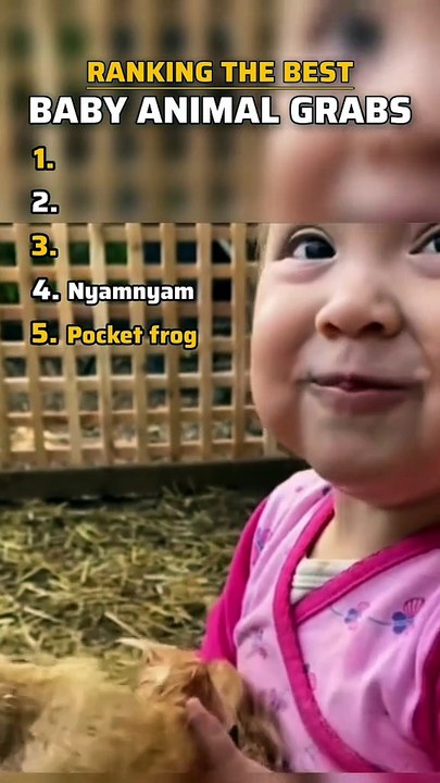 Ranking The Best Baby Animal Grabs ranking babyanimalgrabs bestmoments