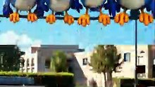 Even the talking birds are laughing at him 💀🛹 #talkingbirds