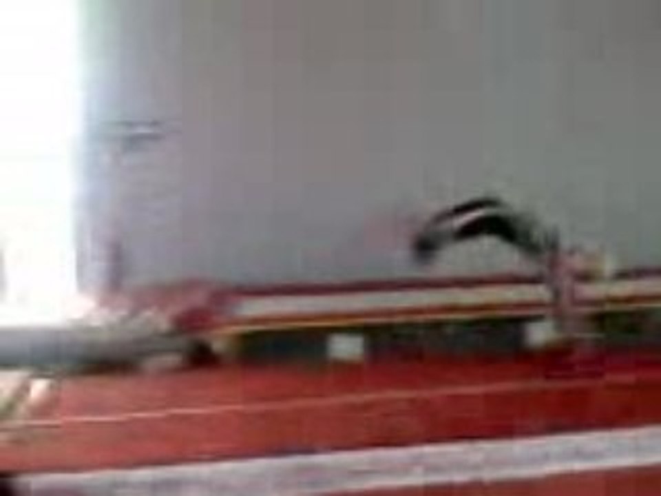Steve tumbling