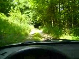 Balade en foret