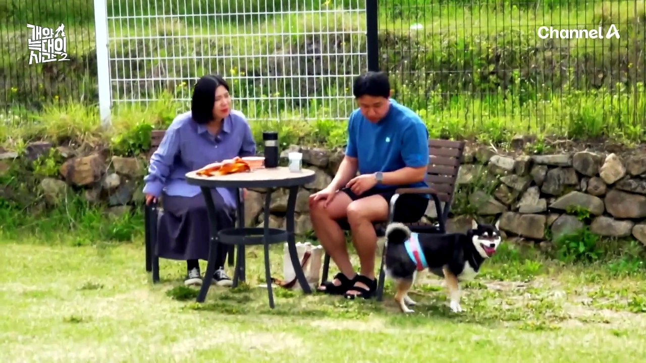 '강정' 때문에 반려견 카페 초토화!? 크기 상관없이 타견을 공격하는 늑대개ㄷㄷ