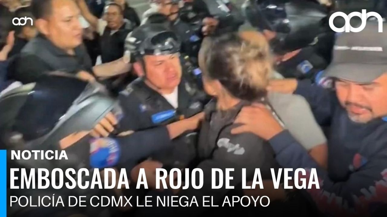 Atacan a Alessandra Rojo de la Vega en la Zona Rosa: acusa a mafias
