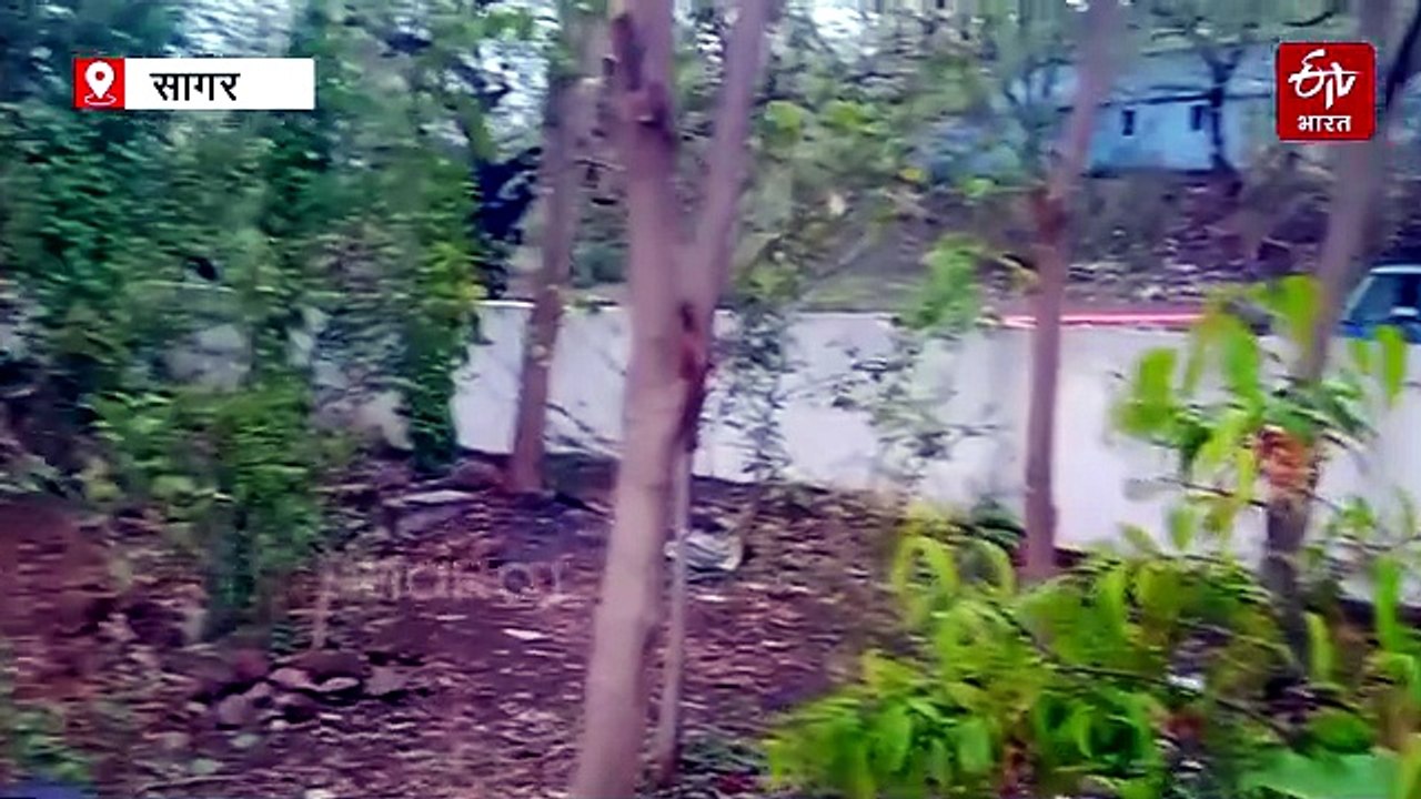 खर्च खुद का लेकिन हरियाली सबकी, निगम के 2 कर्मचारी बच्चे की तरह करते हैं पौधों की देखभाल