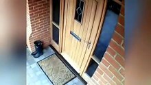 Funniest Animal Videos 2026 Part 3 Cutest ❤️❤️, Cat 🐈 😺 Dog 🐶 🐕 🐈😺