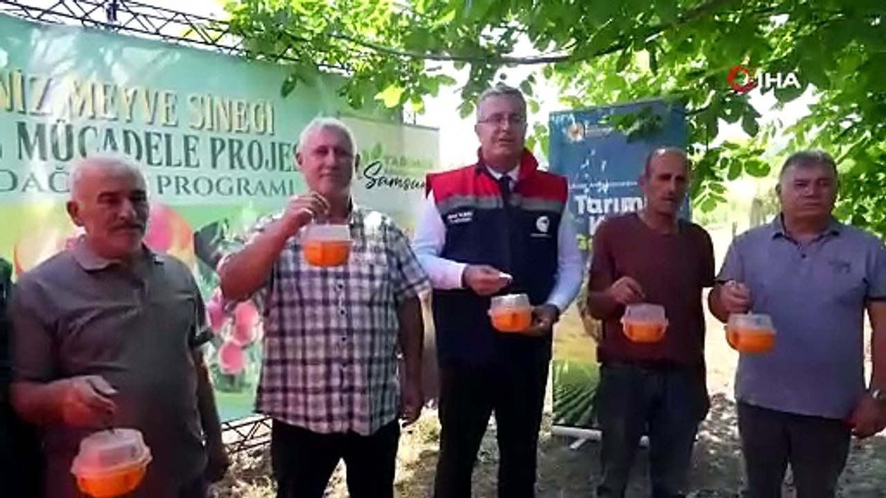 Meyvelerin en büyük düşmanına Samsun'da savaş açıldı