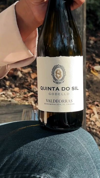 Bodegas Granbazán - Quinta Do Sil