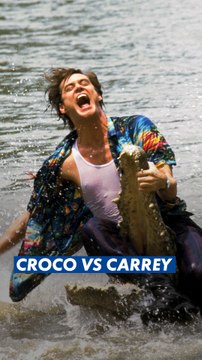 🐊 Aujourd'hui, c'est la Journée mondiale du crocodile.On n'est pas certains que celui-ci ait passé une très bonne journée. 😭