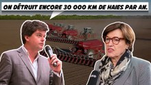 La chaîne que vous devez absolument découvrir