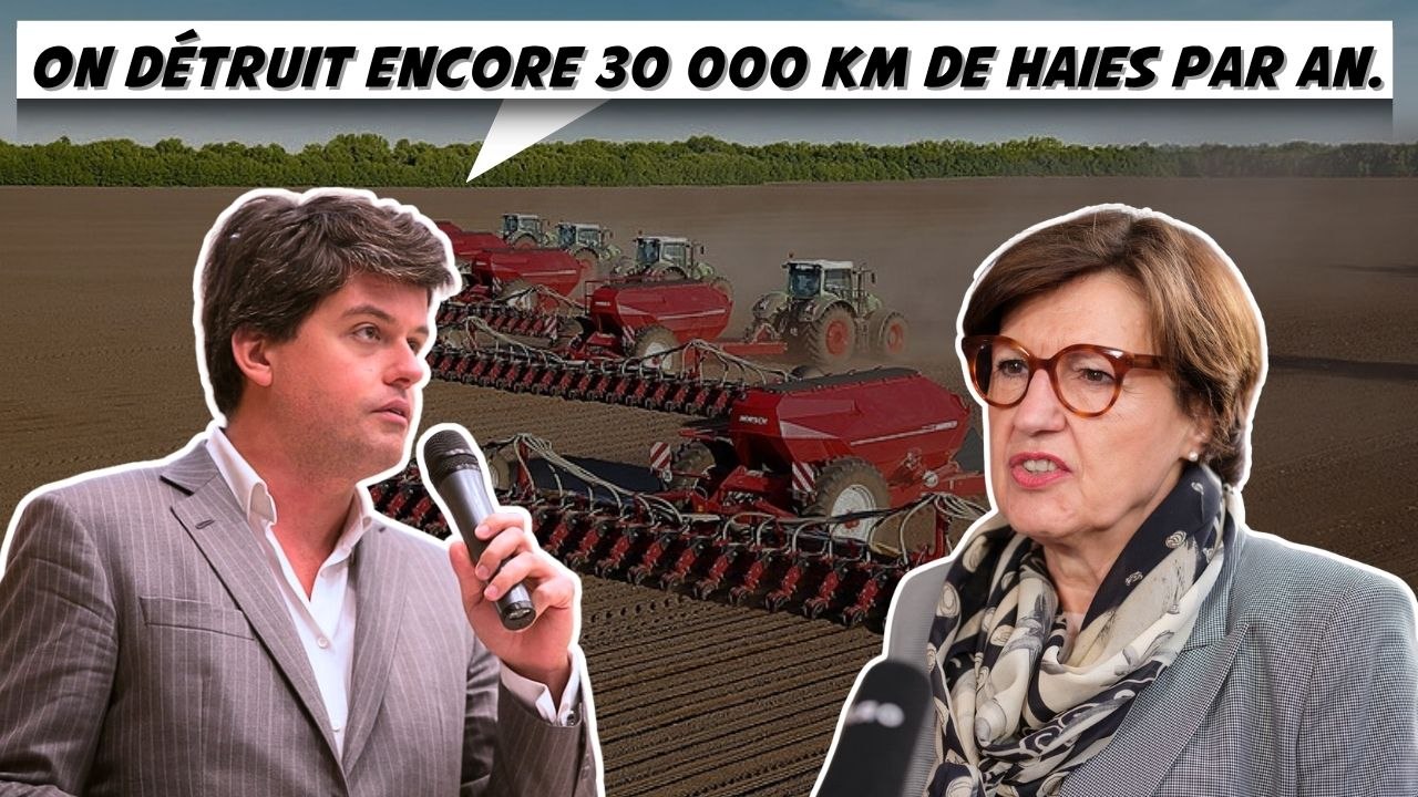La chaîne que vous devez absolument découvrir