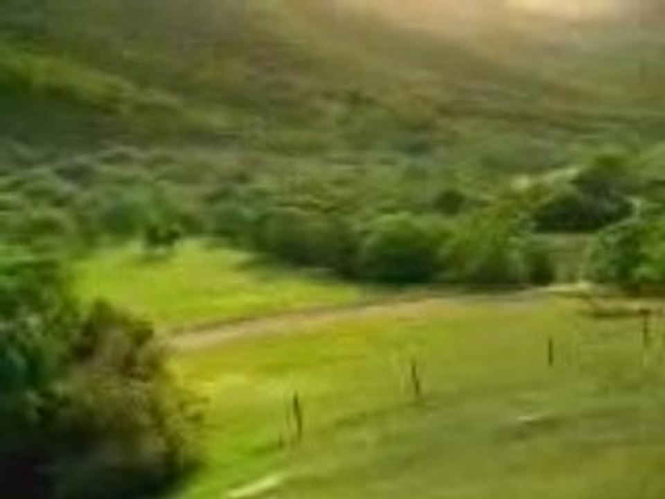 Belle_voiture_(1)