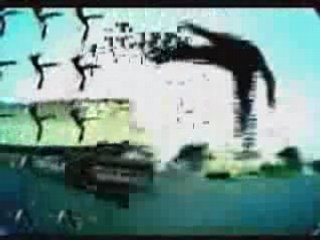 cool kids of death- BUTELKI Z BENZYNĄ I KAMIENIE