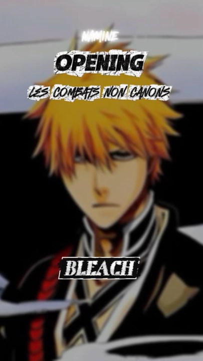 Les combats non canon dans Bleach