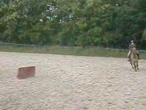 mOn x3 & mOii £n sAut