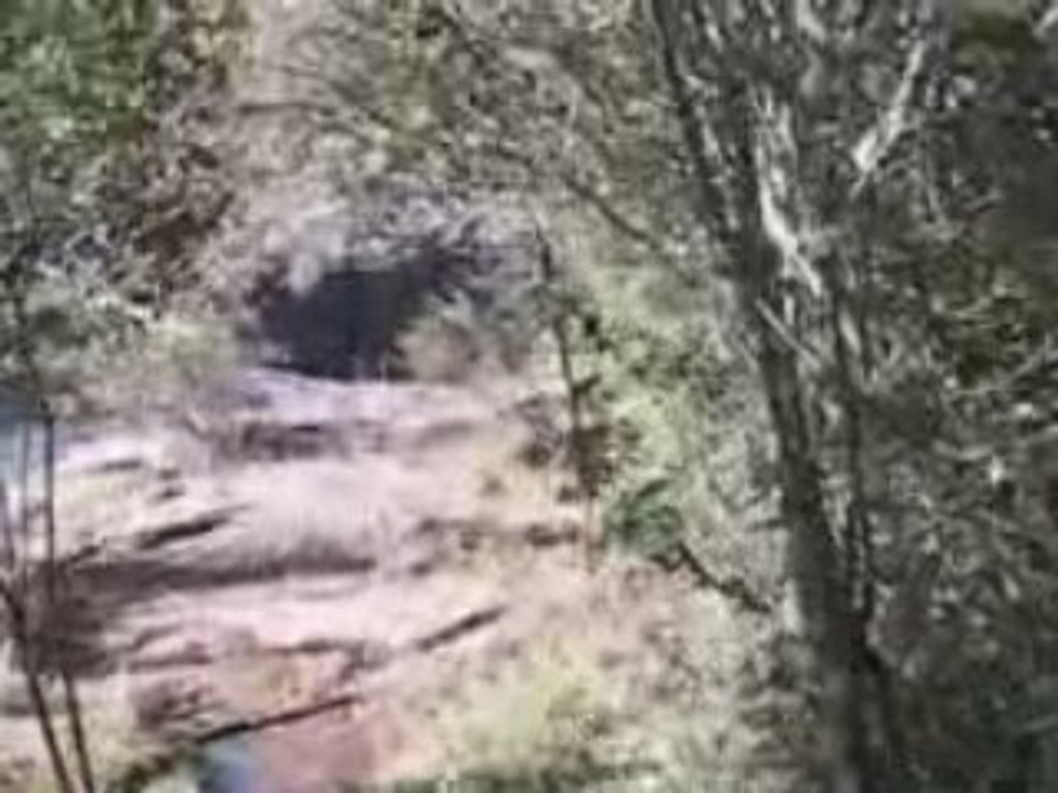 Prudentópolis