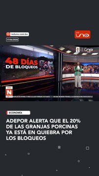 Adepor alerta que el 20% de las granjas porcinas ya está en quiebra por los bloqueos