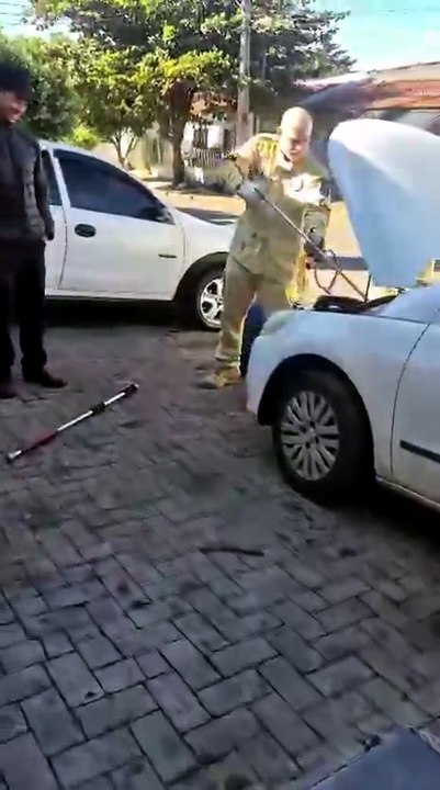 75 cv sob o capô e uma cascavel de carona: cobra é encontrada em motor de carro