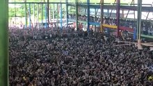 Los increíbles festejos en Bangladesh por la victoria argentina