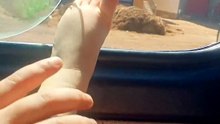 VID20260605151629