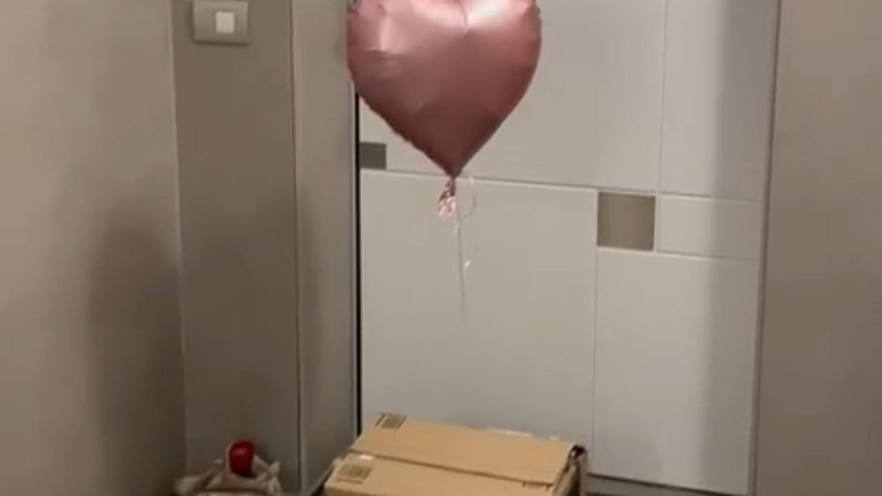 Girl Overjoyed After Receiving the Puppy of Her Dreams