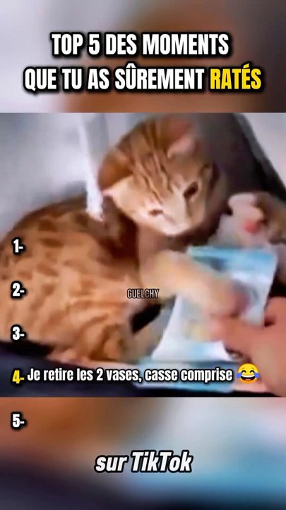 TOP 5 DES MOMENTS QUE TU AS SÛREMENT RATÉS | PARTIE 8