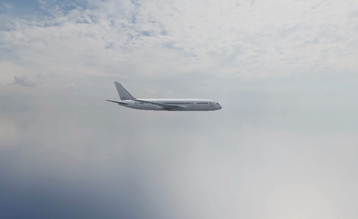 Plane Skyview