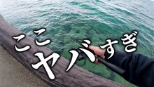 【穴釣り】この場所だけサイズが違う