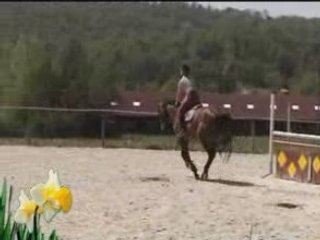 Mika entrainement pluvieux .....