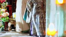 全員穿越女但本宮能看見系統內容_2 康凌驍 黃昏昏