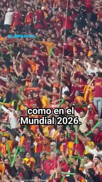 Violencia familiar en eventos deportivos masivos: el aumento del 38% que la pasión no justifica