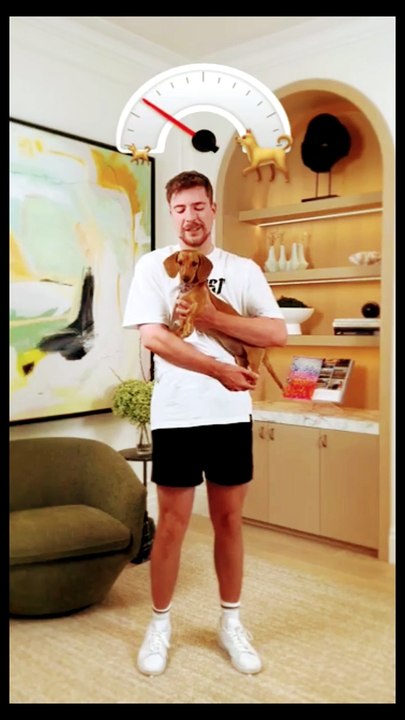 Mr.beats love for pets