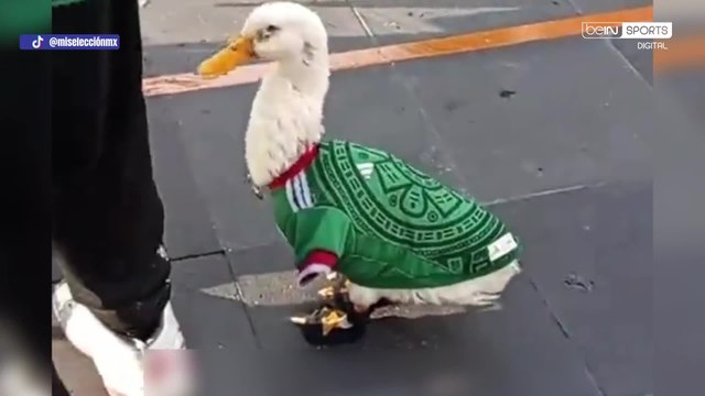 Mexico’s unofficial World Cup lucky charm could break the 5th game curse