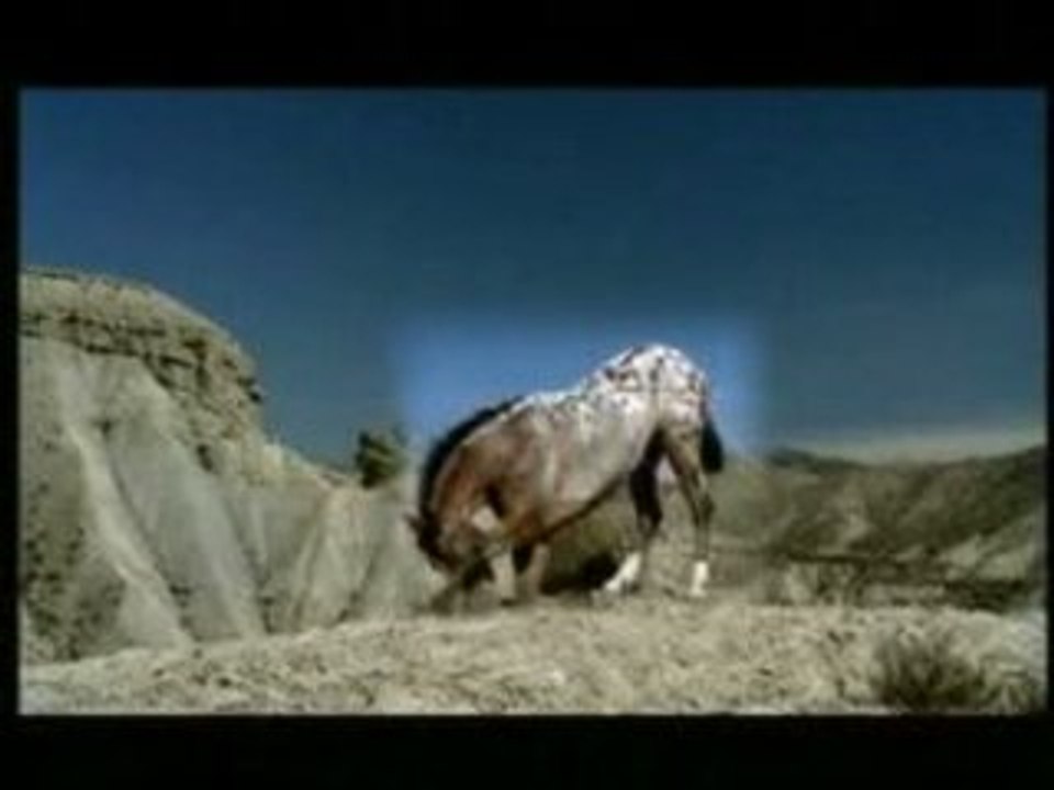 France Galop Essais 2007