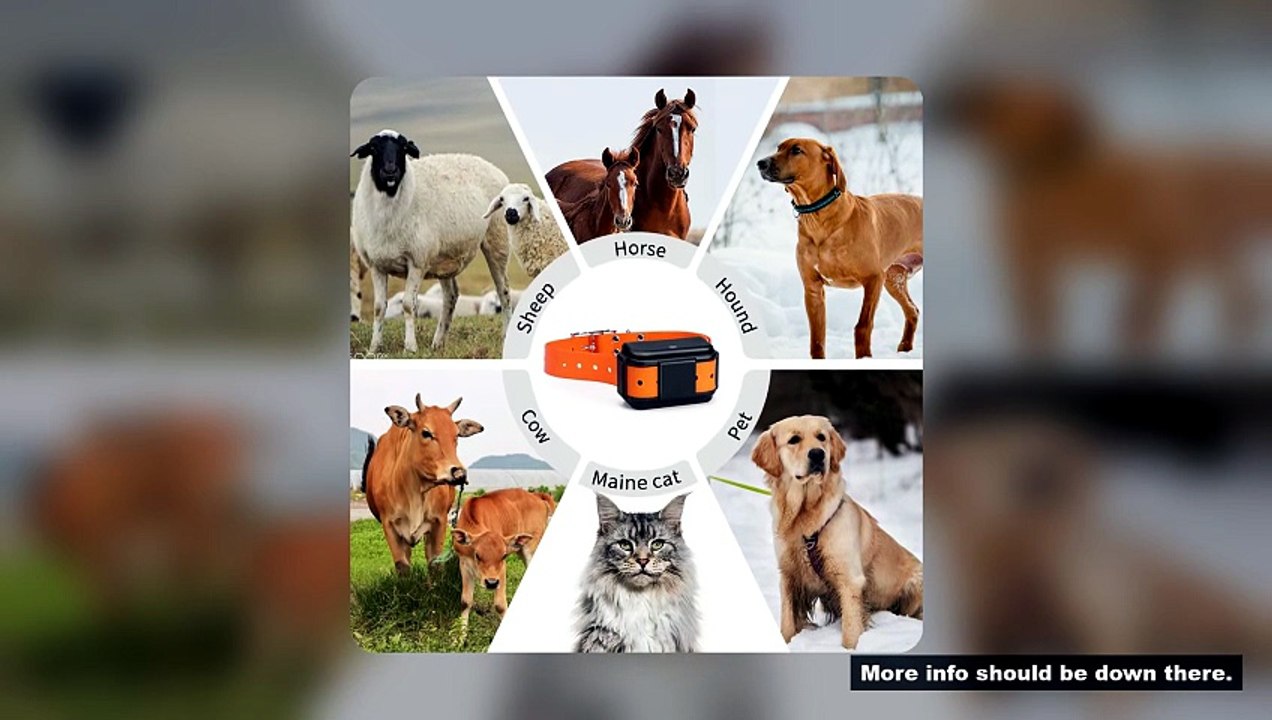 MiCODUS 4G MP50G Animals GPS Tracker 4000mAh Motion/No Motion Alarm Light and Realtime Tracking Wate